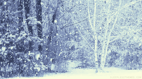 1584611485winter-snow-nature-animated-gif-8[1].gif
