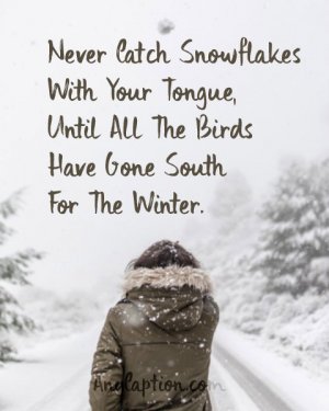 Funny-Winter-Captions-Quotes-Images[1].jpg