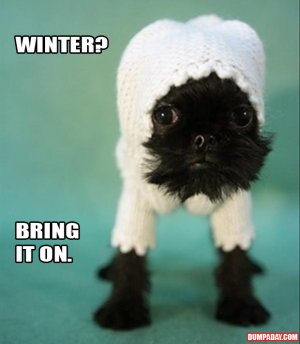 a-puppy-winter-clothes[1].jpg