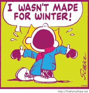 funny-winter-quote[1].jpg