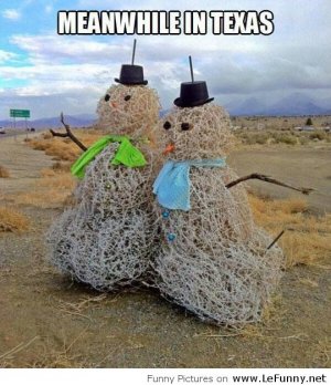 Funny-winter-in-Texas[1].jpg