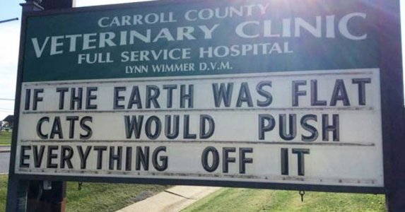 cat earth.jpg