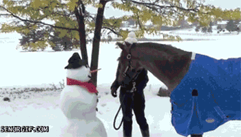 Dazz snowman horse.gif