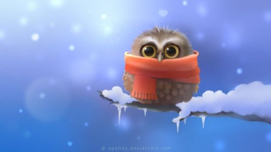 973750[1].jpg