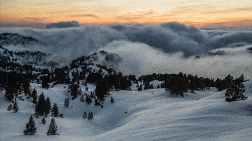 Animated-Wallpaper-Gif-Winter-Bootscootinmusic.com[1].gif