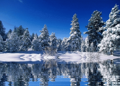 e425d9f8a3354c6feb1c14343a70bca1[1].gif