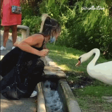 tenor (23).gif