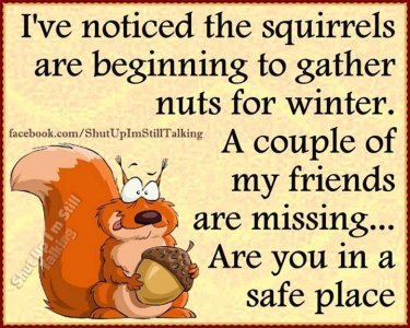 winter funnies 26.jpg