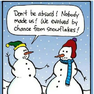 snow.jpeg