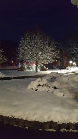 thumbnail_20191203_062254.jpg