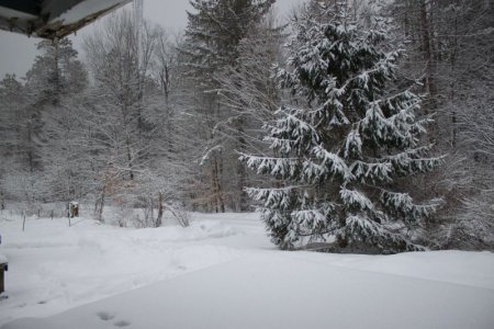 snowfall.jpg