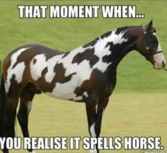 125185657_3705559189483175_1980706420980956577_n.jpg