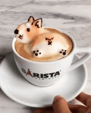 tenor (24).gif