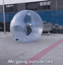 tenor (21).gif
