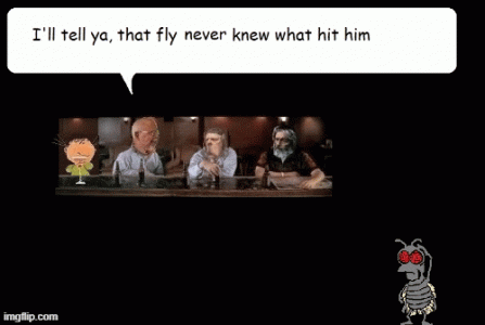 fly.gif