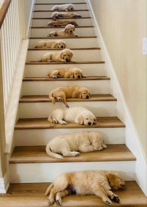 Stairs @.jpg