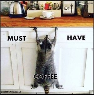 6006ec3c96e2580d61add3cbce5f043e[1].jpg