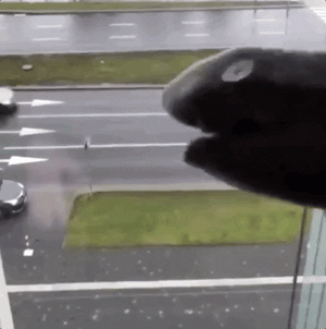 giphy (15).gif