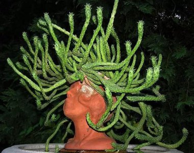 stone-head-planter-pot-medusa.jpg