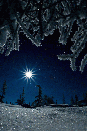 snowystar2.gif