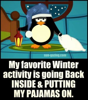 winter funnies 42.jpg