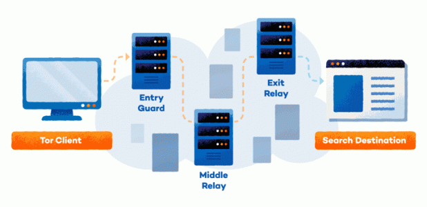 how-tor-works-blog.gif