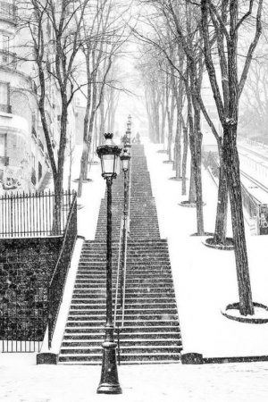 7dd34db944f0d726503a39affed11d91[1].jpg