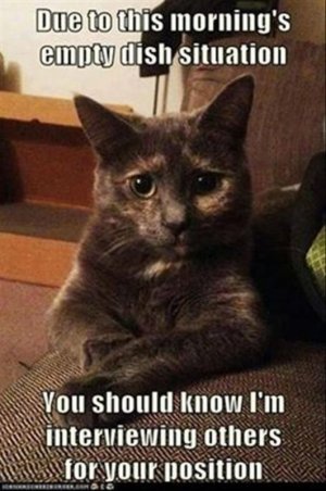 53a8422a913fa18940298262efe213e9[1].jpg