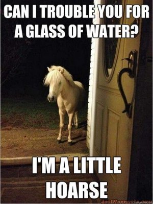funny-photos-of-awful-puns-good-buns-bad-puns-funny-puns-little-horse.jpg
