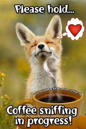 4d8daeac0eb0c441eaf505e3bf1bff42[1].jpg