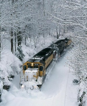 282abd490f79308ae6f6b3e65647400d.jpg