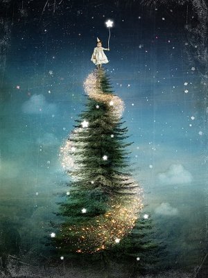 catrin-welz-stein-christmas.jpg