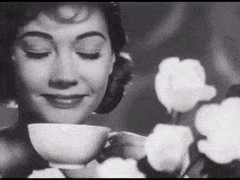 LateTepidHalibut-max-1mb.gif