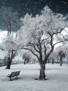 3ee5258fd34dd6d8e383a1dbeba4780b[1].gif