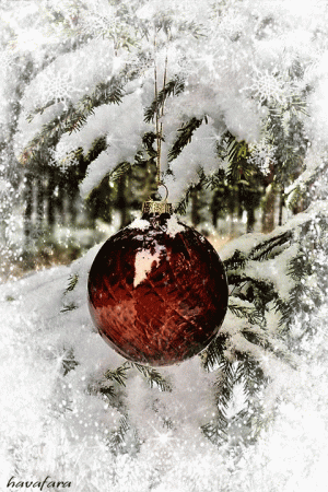 8767df65cf1df4368fb969958bdbfefb[1].gif
