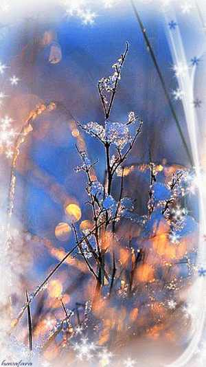 c78fd2a37c37ebb3b03b2d8df04c8198[1].gif