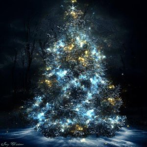 christmas-tree-in-photoshop.jpg