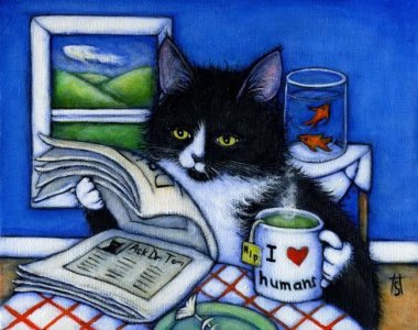 cat having tea reading.jpg