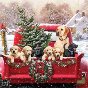 Christmasdogs.jpg