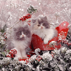 5b59f622e9a5c859971425237ee774e2.gif