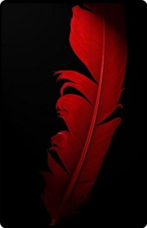272de3a1a59eb60b4bb31b77aaef344b--red-feather-black-feathers.jpg