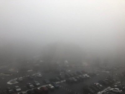 Pea soup.jpg