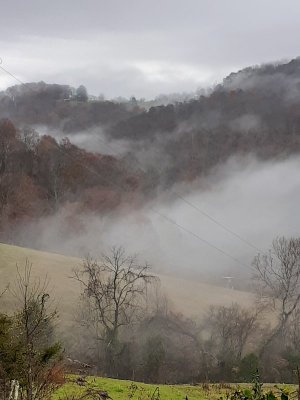 20201111_091433.jpg