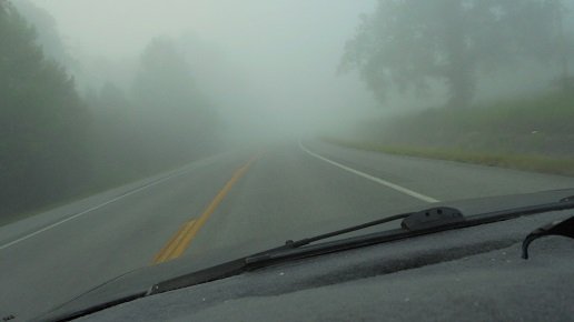 ozark fog 2.JPG