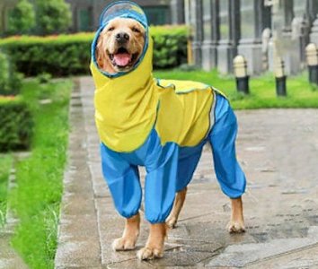 Raincoat @.jpg
