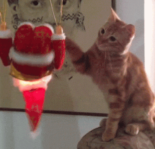 365b5e4bd380456df9bd58f89c5bc071.gif