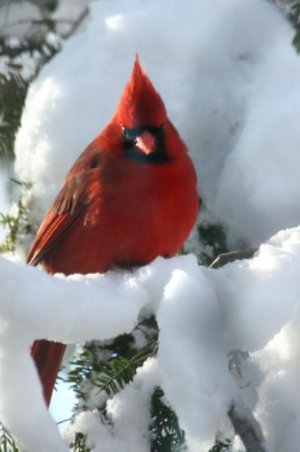 e90f549d0f8b98b35df05e04c9fa7fa8.jpg