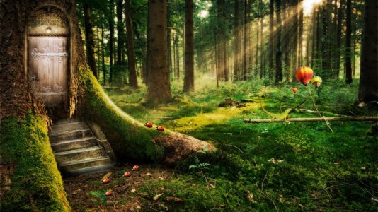enchanted_forest-1920x1080.jpg