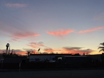 IMG_8025.jpg