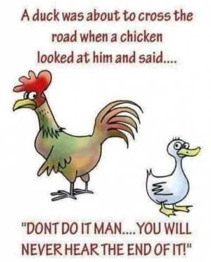 FB_IMG_16086104573668377.jpg